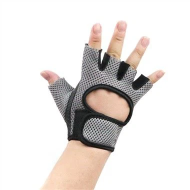 La demande mondiale de gants d’entraînement et d’accessoires d’entraînement c...